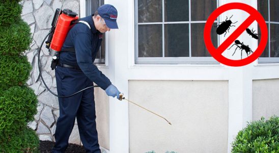 Kemaliye Karınca İlaçlama böcek ilaçlama ve haşere kontrolü — ilaclama-tr.com